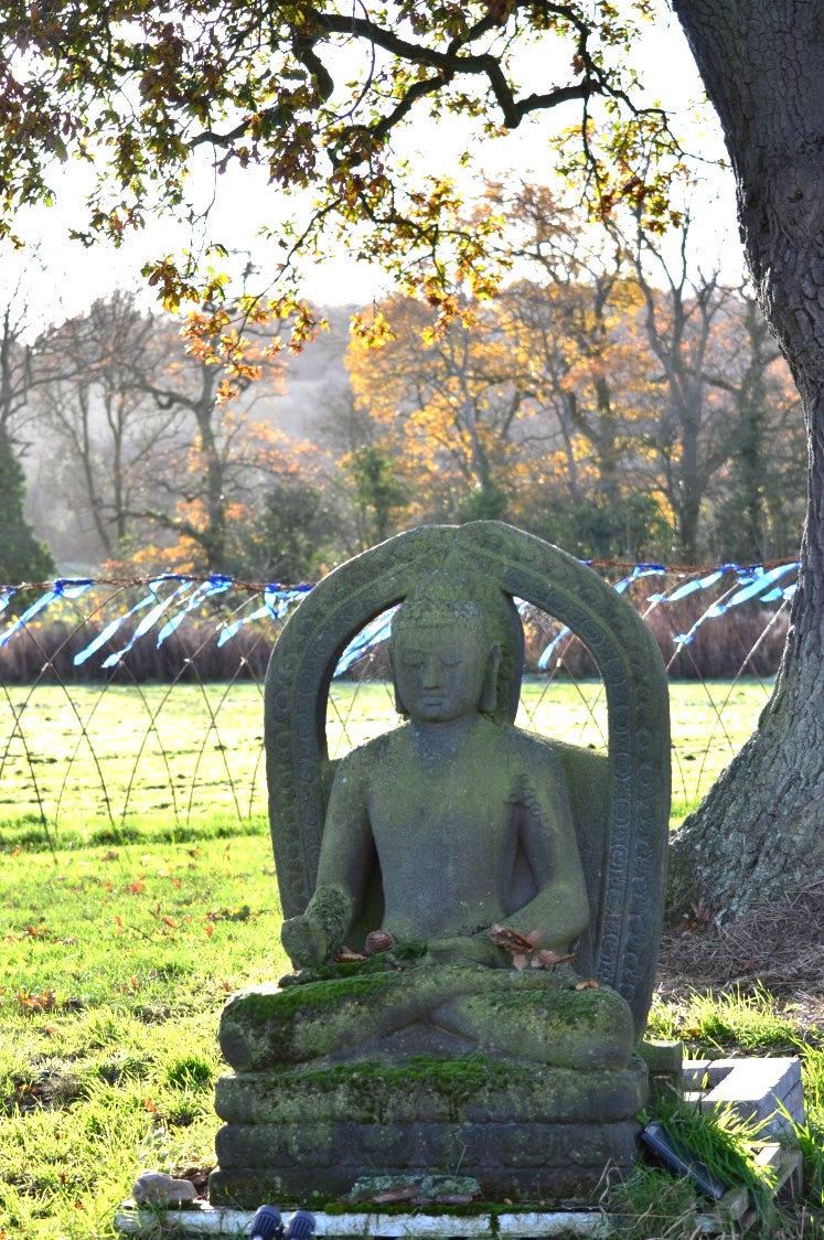 Buddha under the Oak