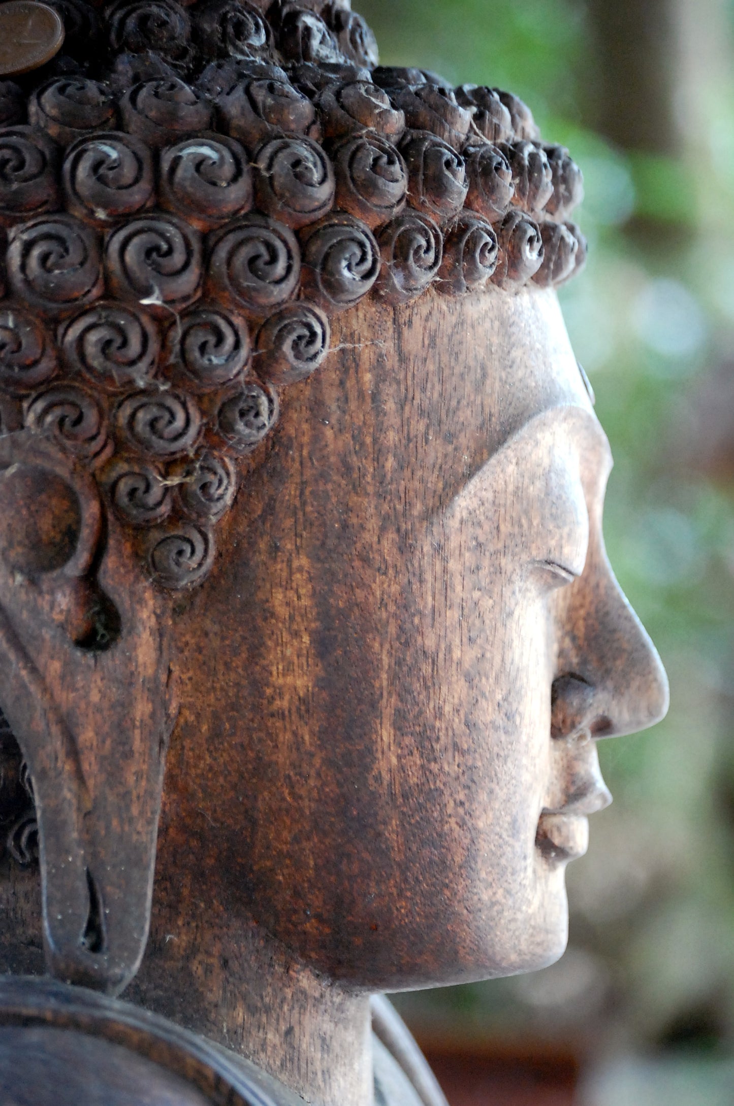 Buddha #17 Japanese Garden