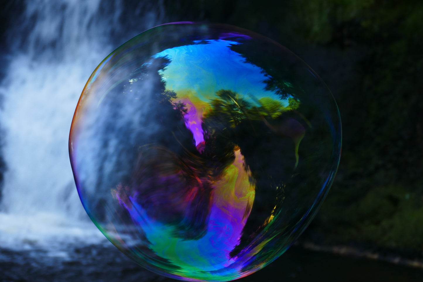 Bubble #4