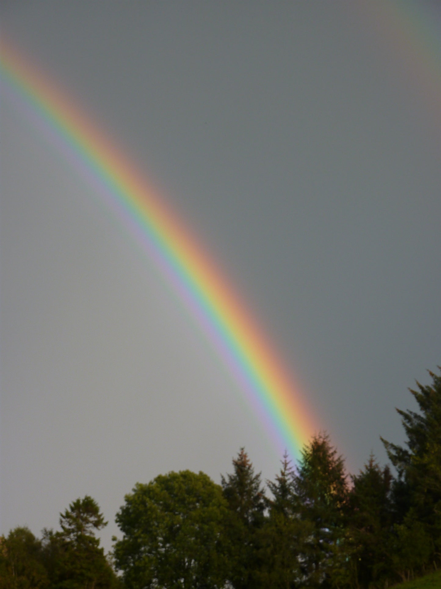 Rainbow #4