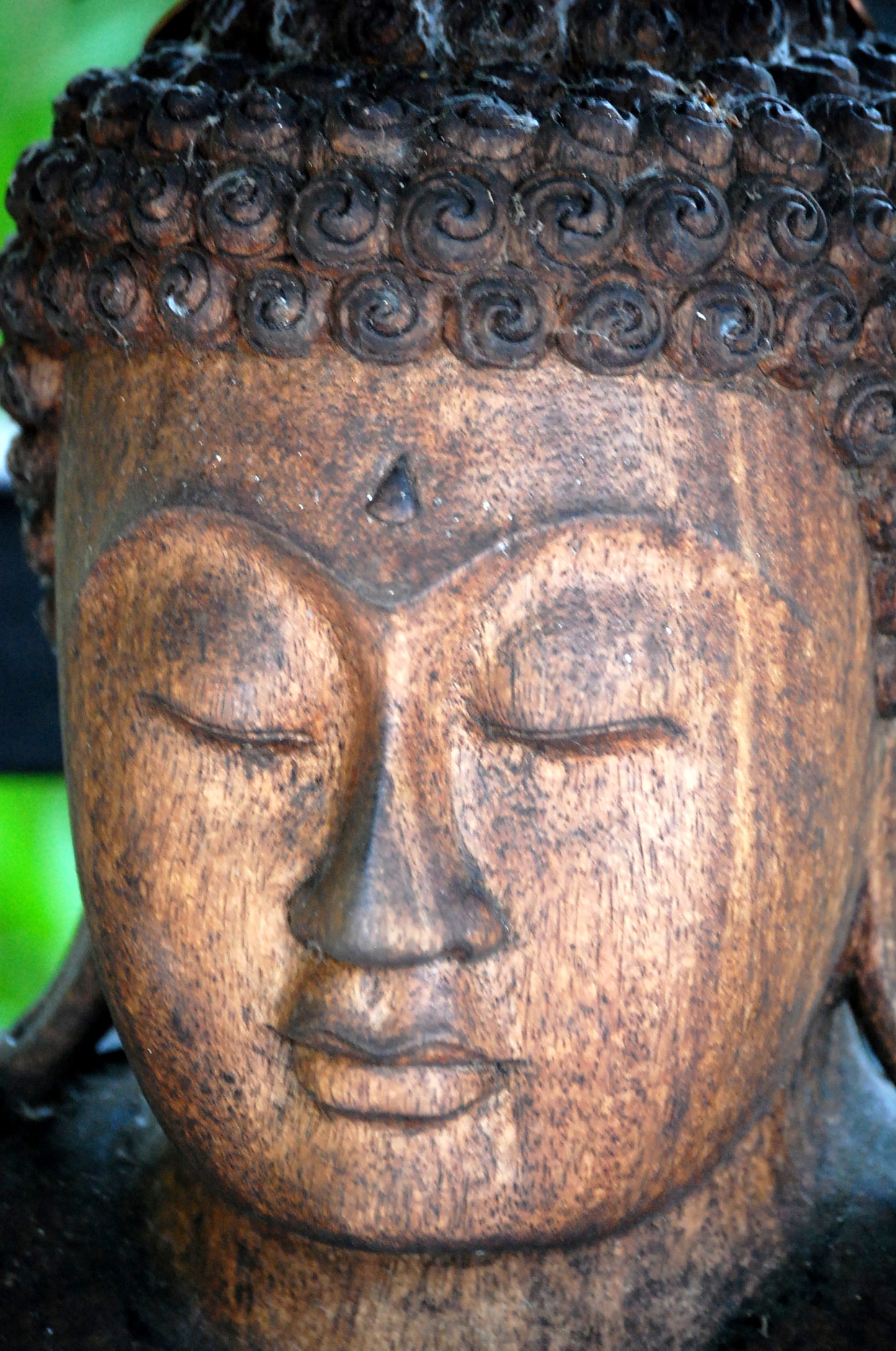 Buddha #15