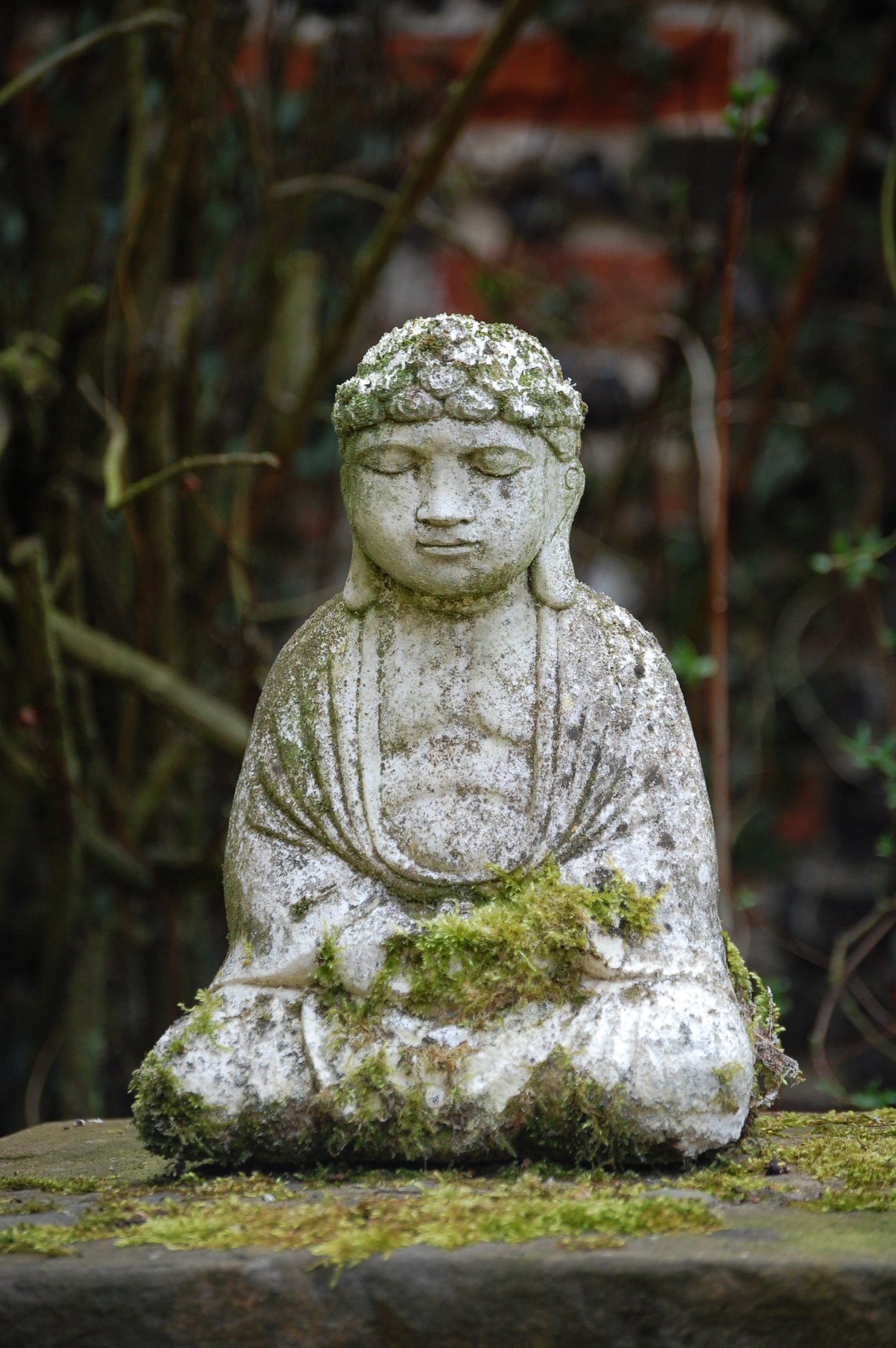 Buddha #10 Padmaloka